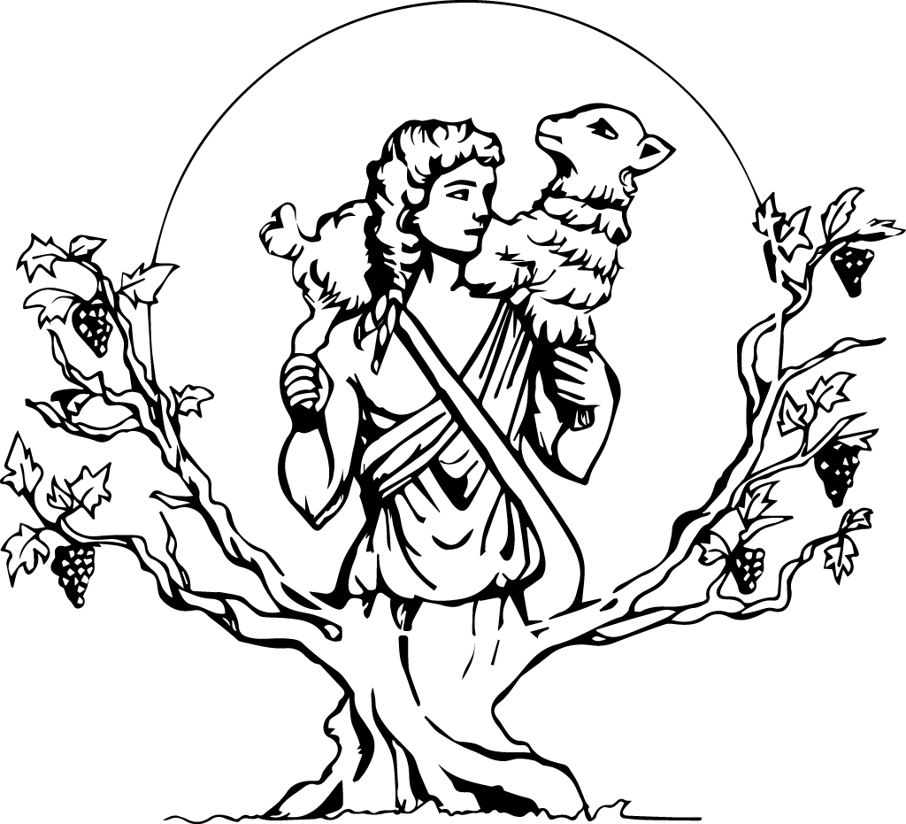 Catequesis Buen Pastor